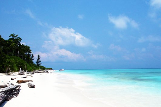 Day Trip Mengalum Island @ Snorkeling